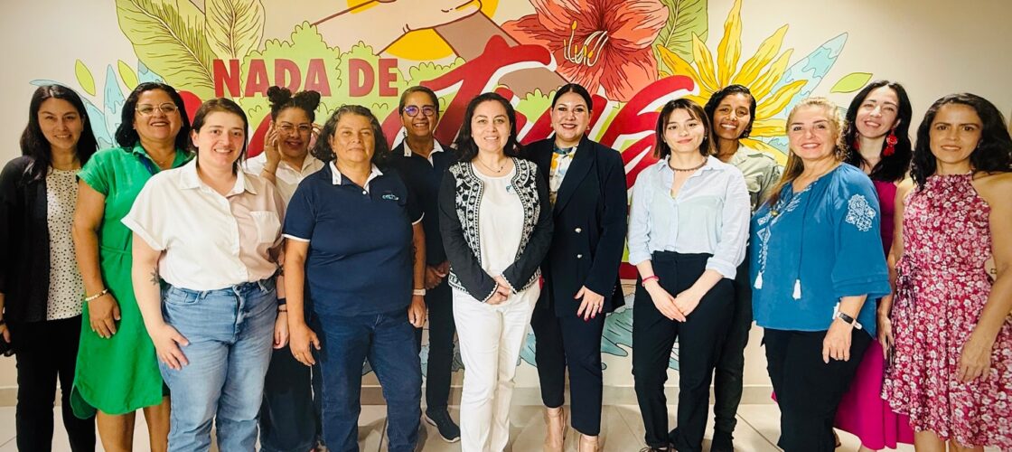 AME Chile y OLADE desarrollan el segundo taller de construcción de redes de mujeres en energía en Costa Rica