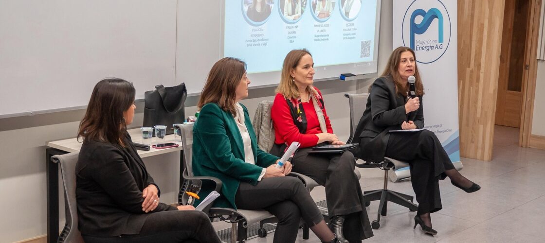 AME realiza conversatorio sobre gestión ambiental de proyectos energéticos en la Universidad Adolfo Ibáñez