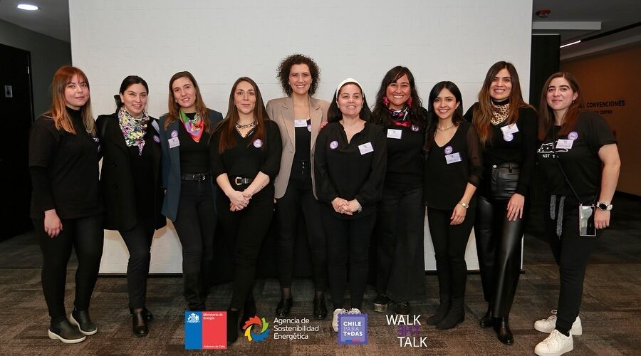 Nueve integrantes de AME completan el Programa de Liderazgo para Mujeres en Energía del Ministerio de Energía