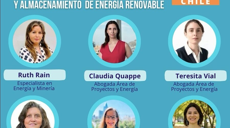 Socias de AME participan como ponentes y moderadoras en el Congreso RENMAD Chile 2024